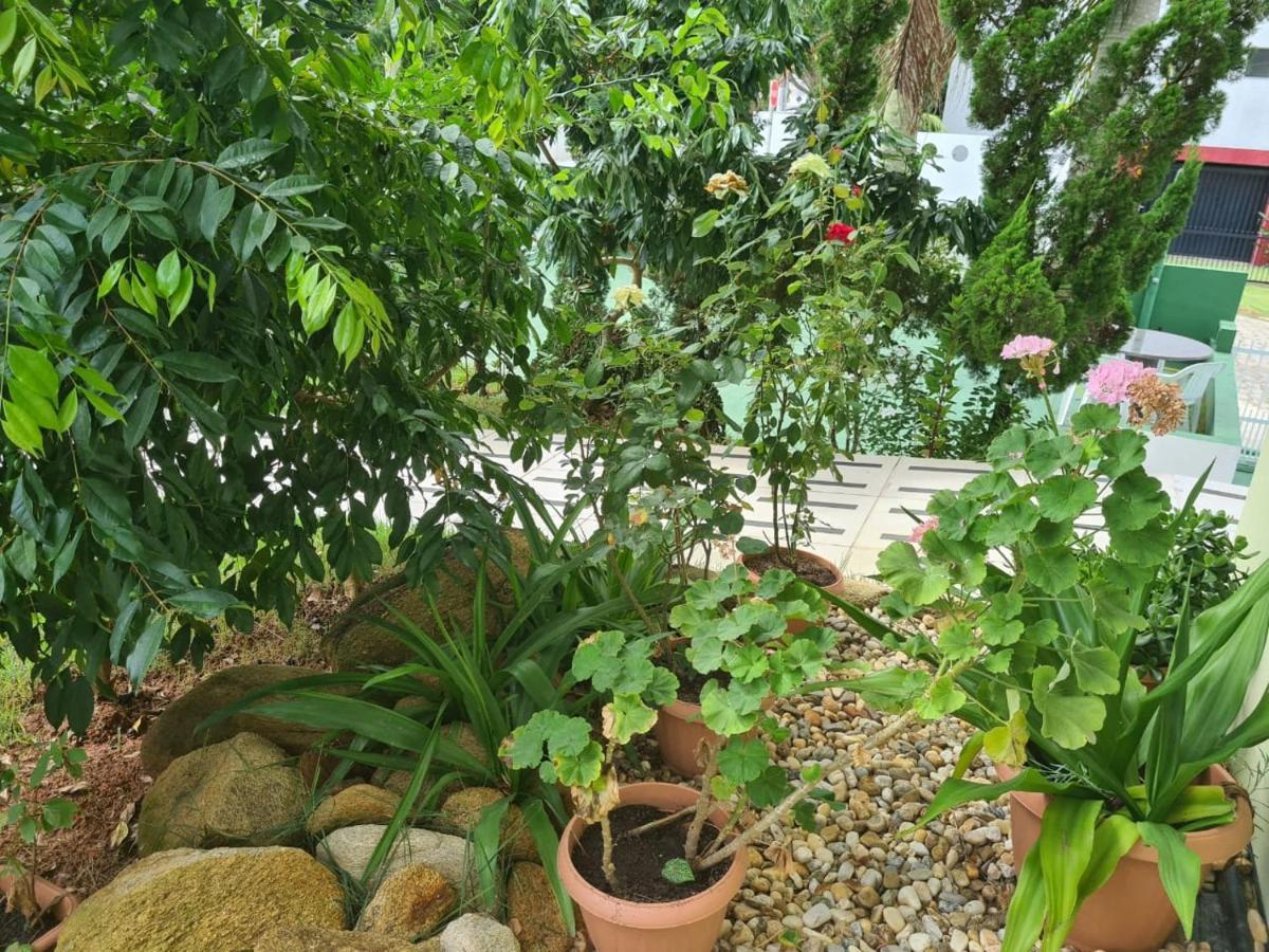 Praia De 4 Ilhas Apartamento De 1 Quarto A 60M Praia Com Vista Bombinhas Ngoại thất bức ảnh